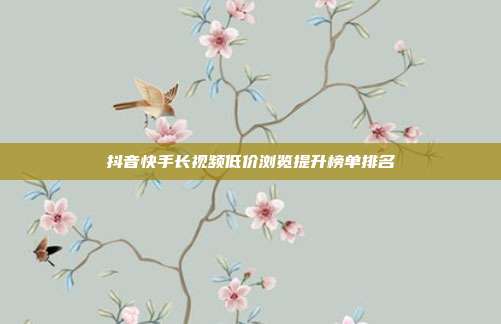 抖音快手长视频低价浏览提升榜单排名