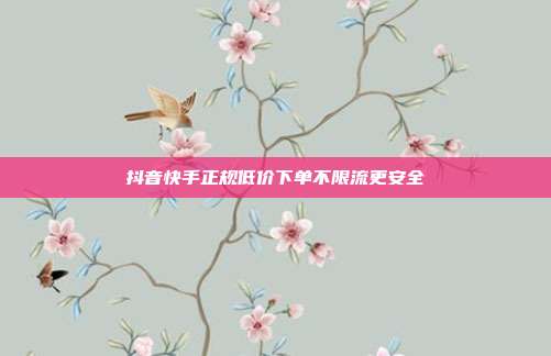 抖音快手正规低价下单不限流更安全