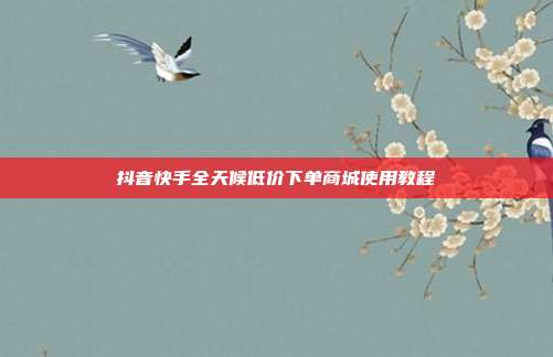 抖音快手全天候低价下单商城使用教程