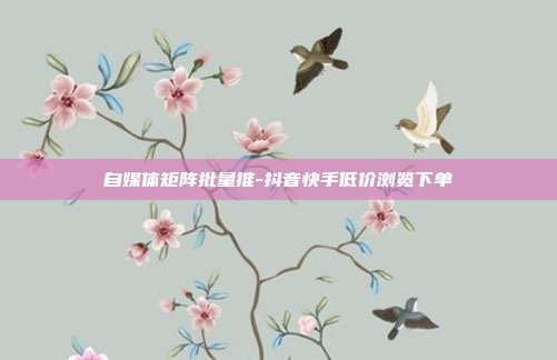 自媒体矩阵批量推-抖音快手低价浏览下单
