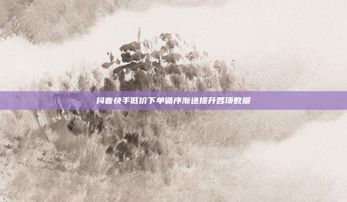 抖音快手低价下单循序渐进提升各项数据