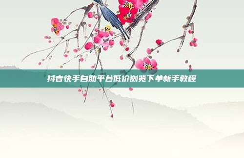 抖音快手自助平台低价浏览下单新手教程
