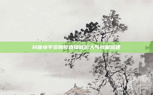 抖音快手多账号直播低价人气批量搭建