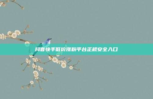 抖音快手低价涨粉平台正规安全入口