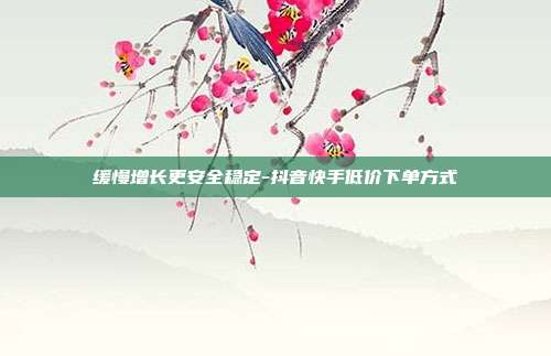 缓慢增长更安全稳定-抖音快手低价下单方式