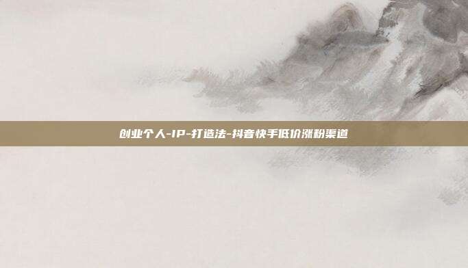 创业个人-IP-打造法-抖音快手低价涨粉渠道