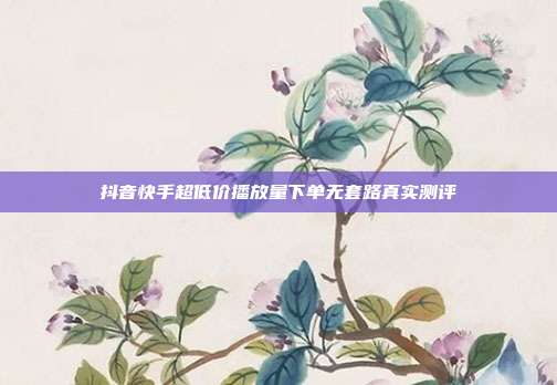抖音快手超低价播放量下单无套路真实测评