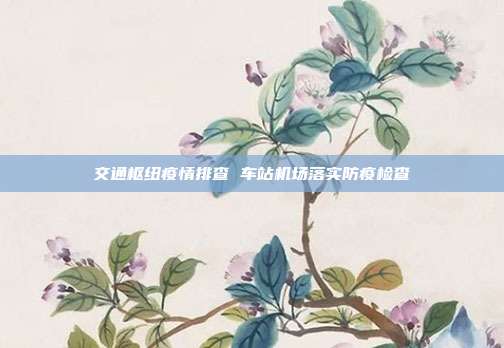 交通枢纽疫情排查 车站机场落实防疫检查