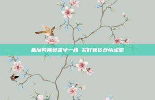 基层网格员坚守一线 紧盯辖区疫情动态