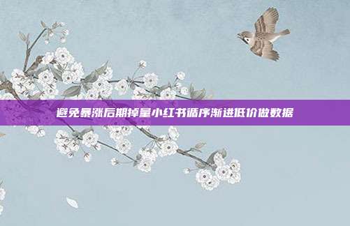 避免暴涨后期掉量小红书循序渐进低价做数据
