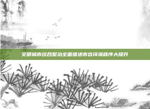 文明城市综合整治全面推进市容环境秩序大提升