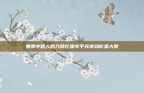 暴雨中路人合力帮忙推车平凡举动彰显大爱