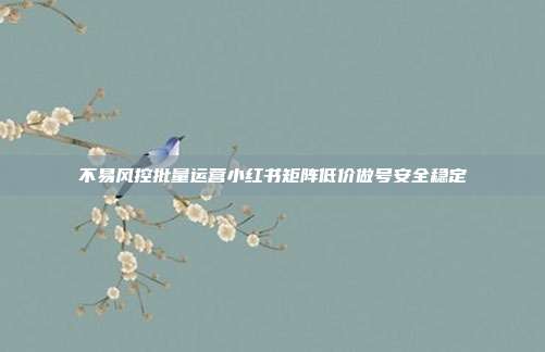 不易风控批量运营小红书矩阵低价做号安全稳定