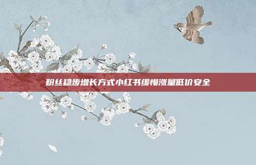粉丝稳步增长方式小红书缓慢涨量低价安全