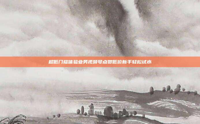 超低门槛体验业务视频号点赞低价新手轻松试水