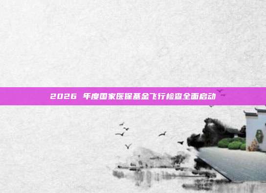 2026 年度国家医保基金飞行检查全面启动