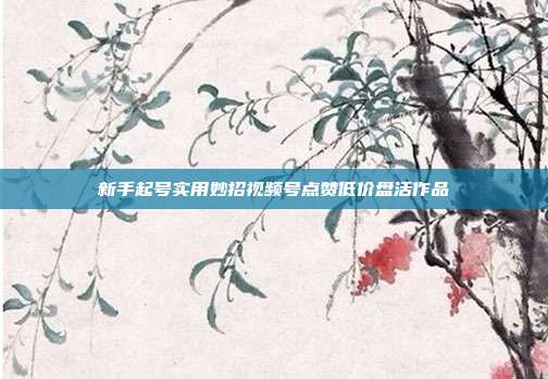新手起号实用妙招视频号点赞低价盘活作品