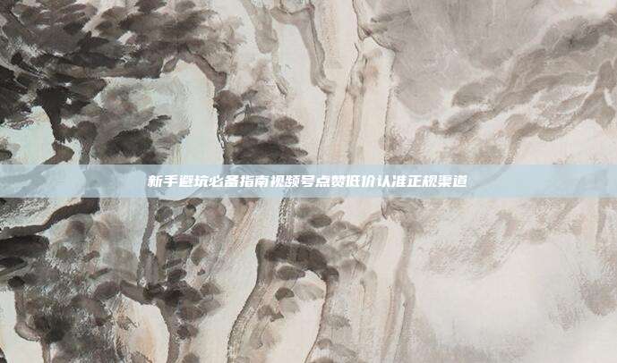 新手避坑必备指南视频号点赞低价认准正规渠道