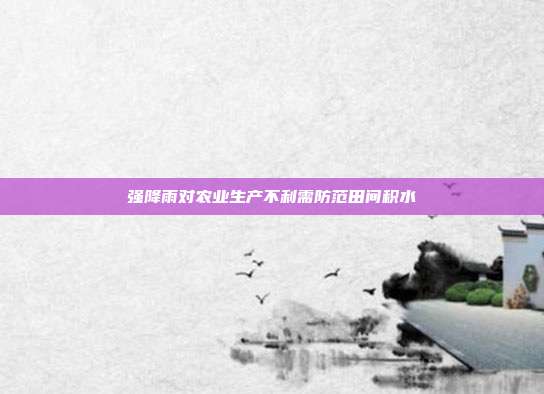 强降雨对农业生产不利需防范田间积水