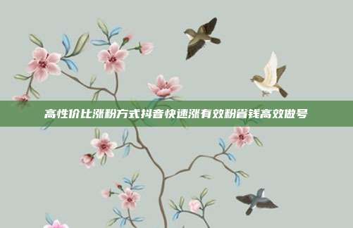 高性价比涨粉方式抖音快速涨有效粉省钱高效做号