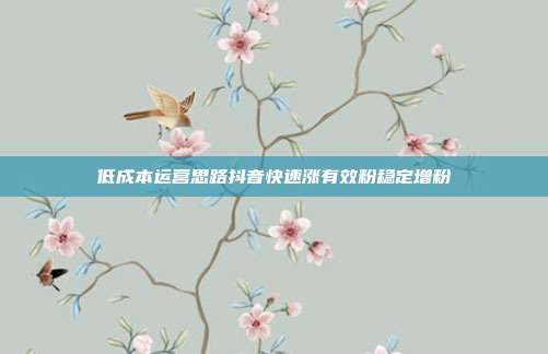 低成本运营思路抖音快速涨有效粉稳定增粉