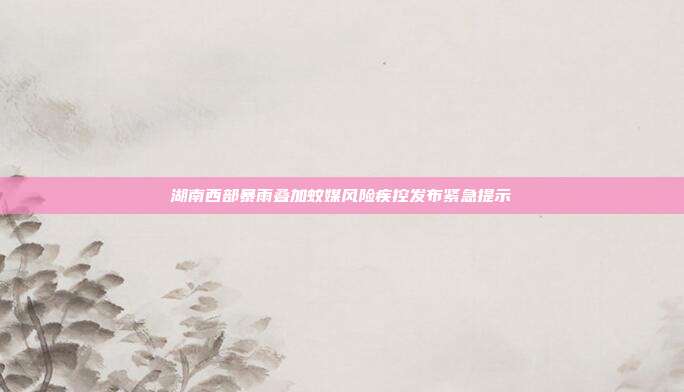 湖南西部暴雨叠加蚊媒风险疾控发布紧急提示