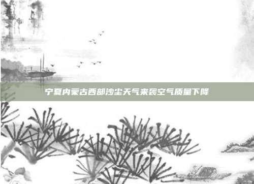 宁夏内蒙古西部沙尘天气来袭空气质量下降