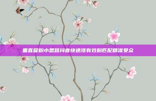 垂直吸粉小思路抖音快速涨有效粉匹配精准受众