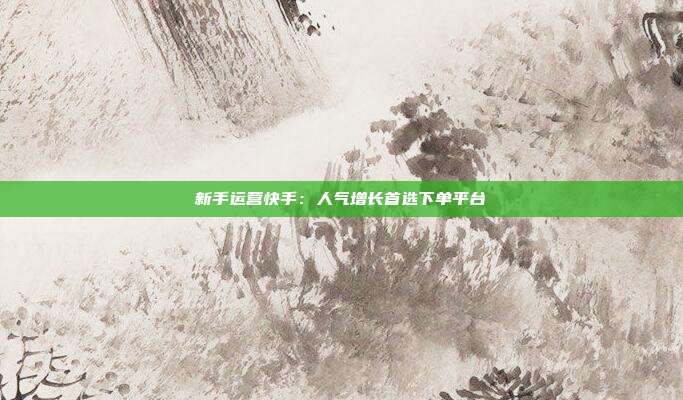 新手运营快手:人气增长首选下单平台