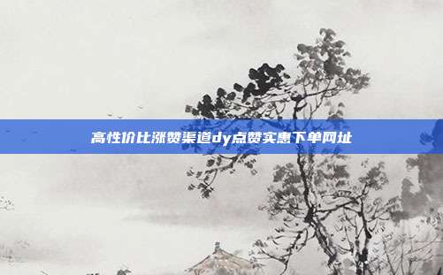 高性价比涨赞渠道dy点赞实惠下单网址