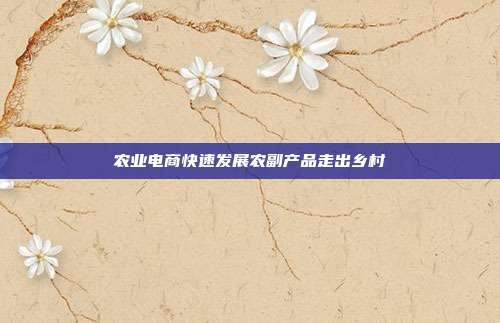 农业电商快速发展农副产品走出乡村