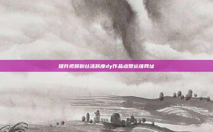 提升视频粉丝活跃度dy作品点赞运维网址