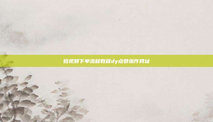短视频下单流程教程dy点赞操作网址