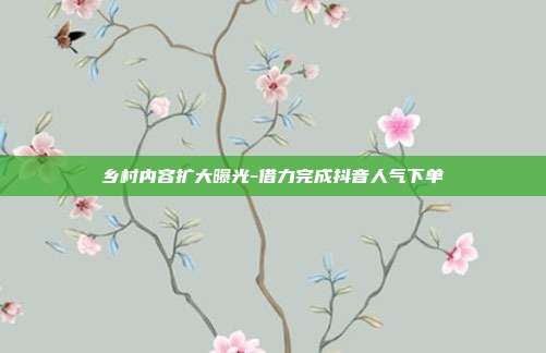 乡村内容扩大曝光-借力完成抖音人气下单