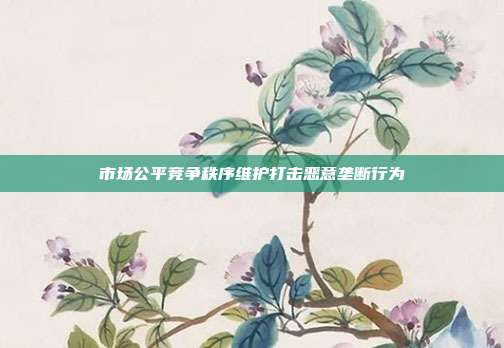 市场公平竞争秩序维护打击恶意垄断行为