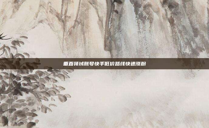 垂直领域账号快手低价路线快速涨粉