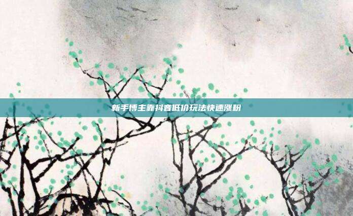 新手博主靠抖音低价玩法快速涨粉