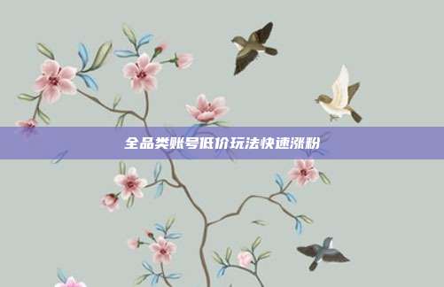 全品类账号低价玩法快速涨粉