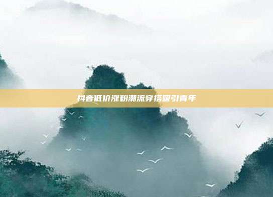 抖音低价涨粉潮流穿搭吸引青年