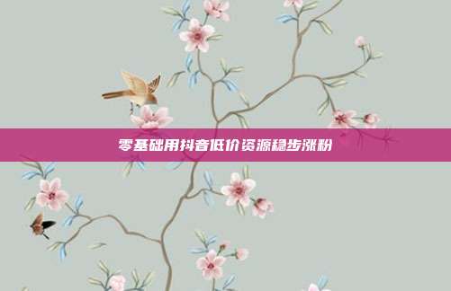 零基础用抖音低价资源稳步涨粉