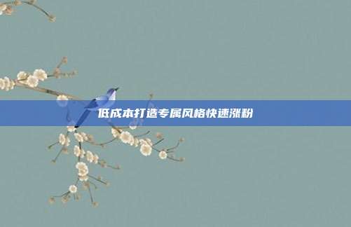 低成本打造专属风格快速涨粉
