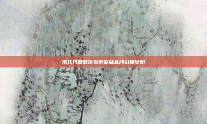 依托抖音低价资源整合全网引流涨粉