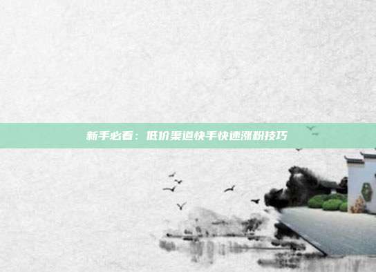 新手必看:低价渠道快手快速涨粉技巧