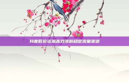 抖音低价资源高效涨粉稳定流量渠道