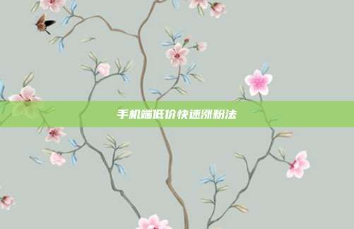 手机端低价快速涨粉法