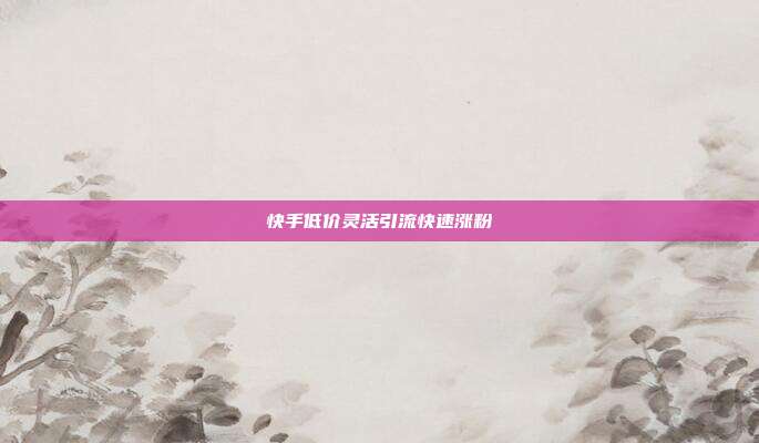 快手低价灵活引流快速涨粉