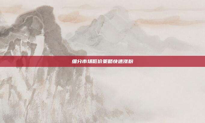 细分市场低价策略快速涨粉