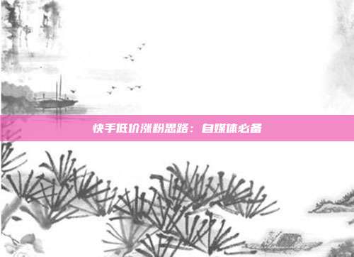 快手低价涨粉思路:自媒体必备