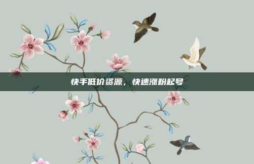 快手低价资源,快速涨粉起号