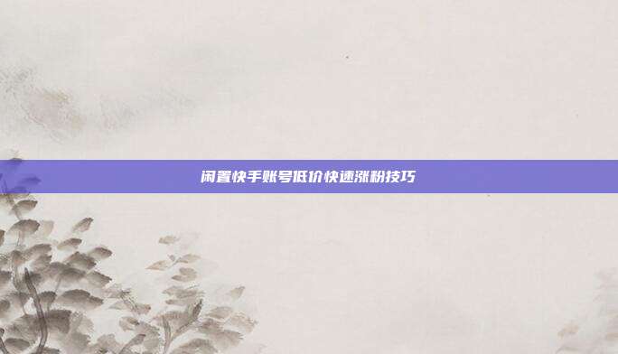 闲置快手账号低价快速涨粉技巧